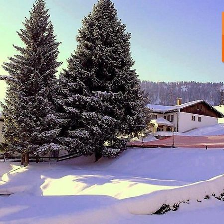 Appartement Nr 19, Alpenappartementhaus, Oberstaufen-Steibis, Allgaeu, Oberstaufen Plus 外观 照片
