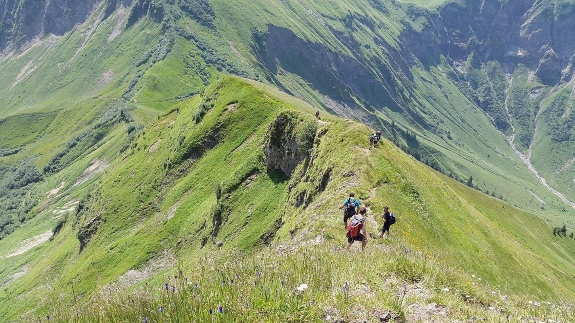 Appartement Nr 19, Alpenappartementhaus, Oberstaufen-Steibis, Allgaeu, Oberstaufen Plus 外观 照片