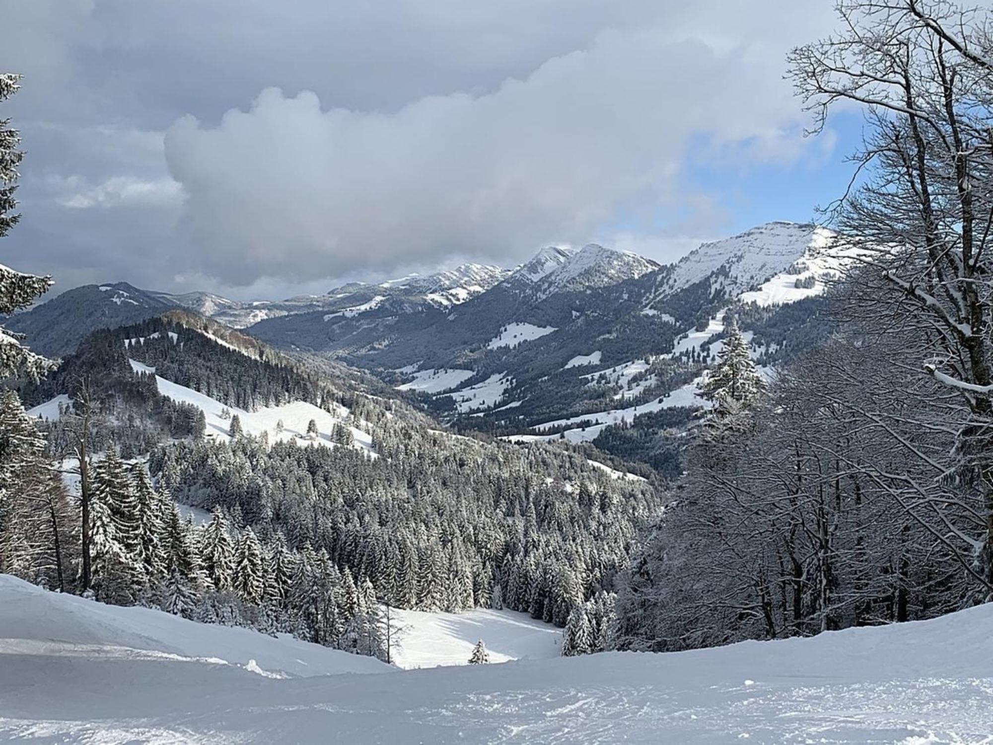 Appartement Nr 19, Alpenappartementhaus, Oberstaufen-Steibis, Allgaeu, Oberstaufen Plus 外观 照片