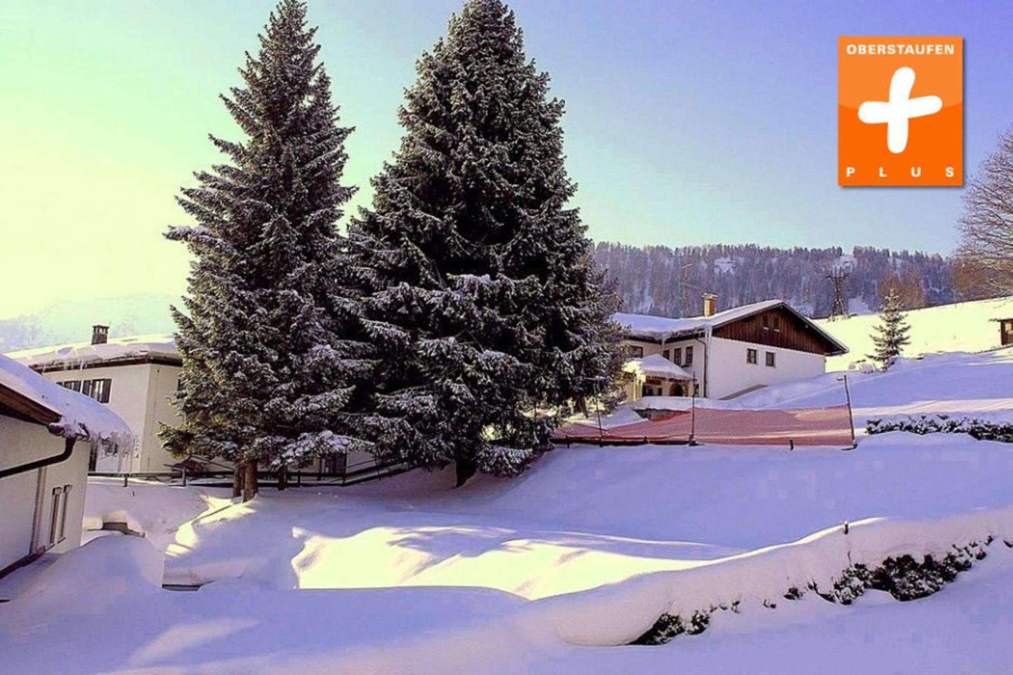 Appartement Nr 19, Alpenappartementhaus, Oberstaufen-Steibis, Allgaeu, Oberstaufen Plus 外观 照片